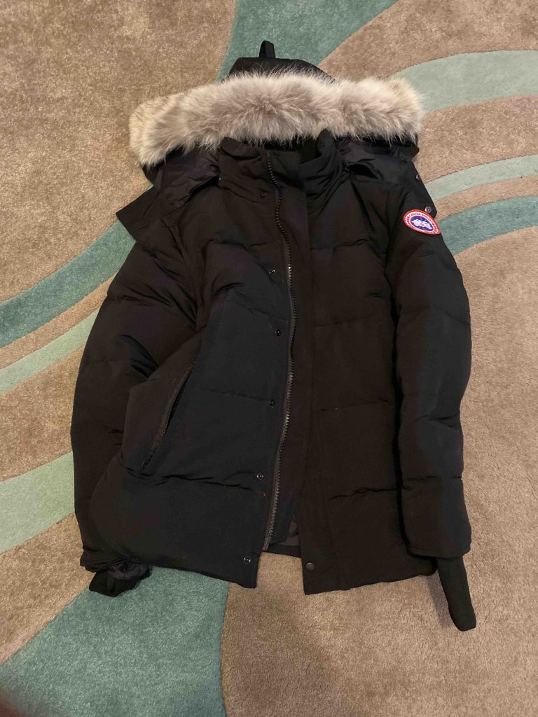 Canada goose dupes