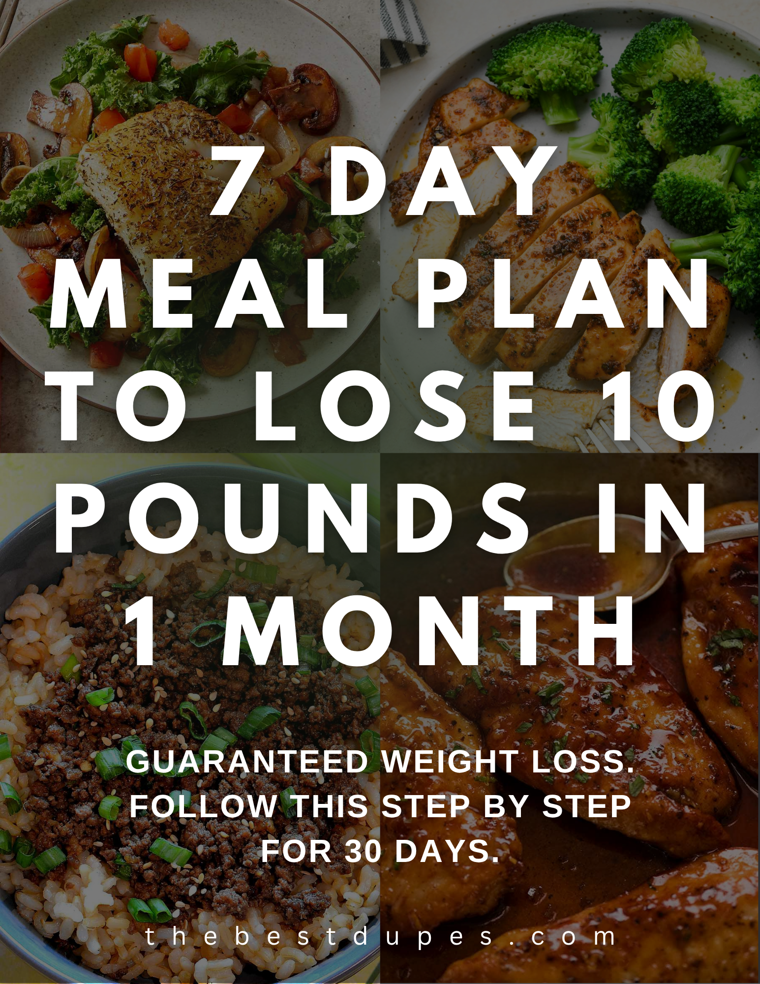 Ozempic Diet Meal Plan
